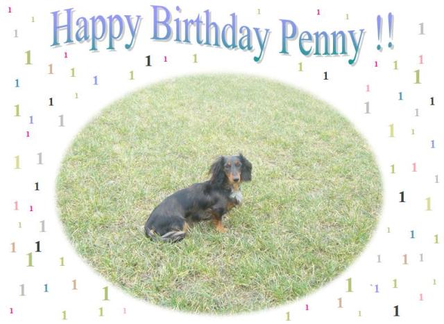 Happy Birthday Penny 2013